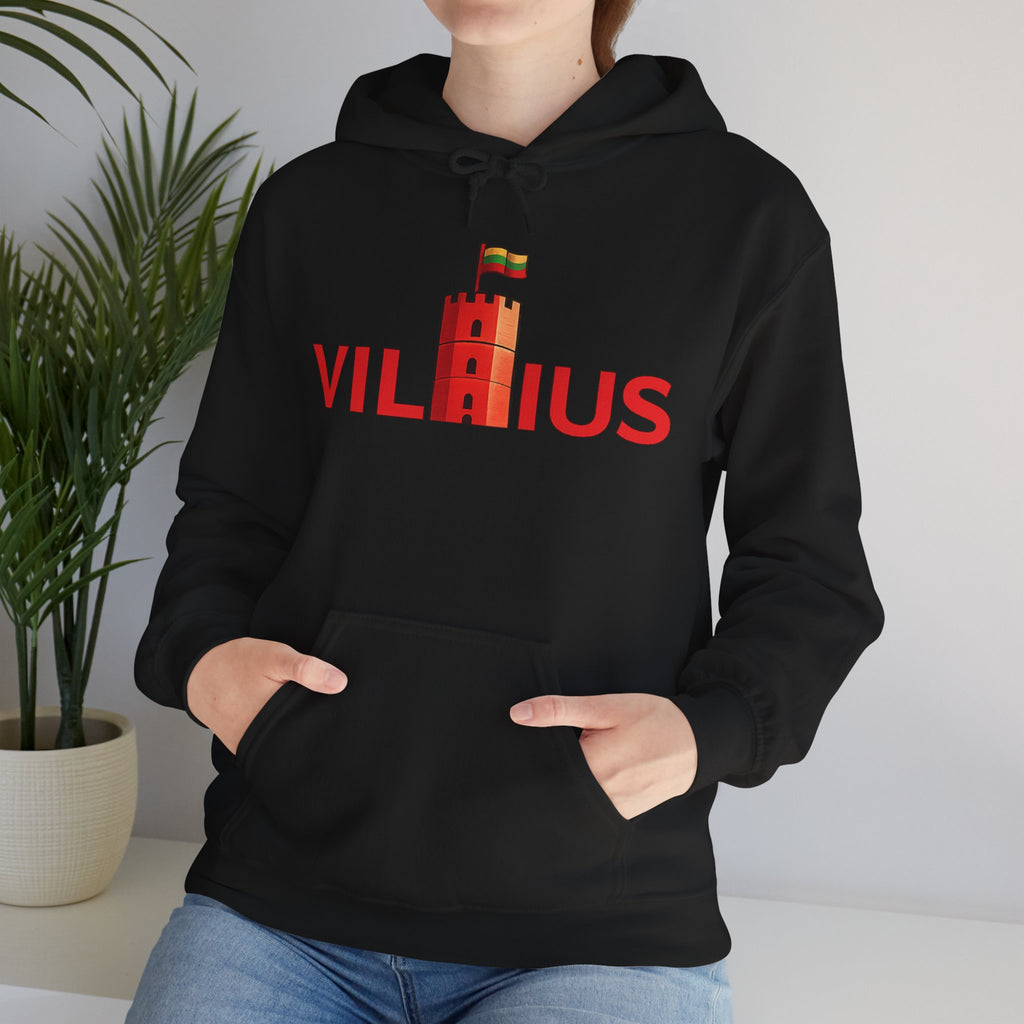 Lietuviškos atributikos džemperis su gobtuvu „Vilnius“