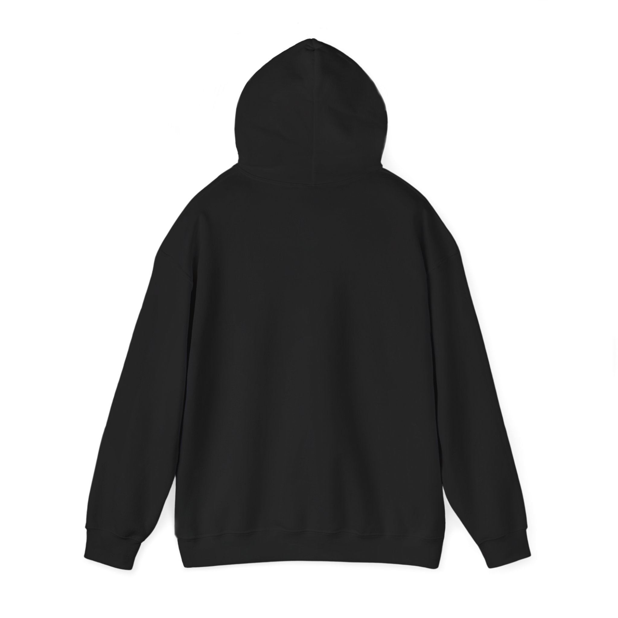 Lietuviškos atributikos džemperis su gobtuvu „Vilnius“